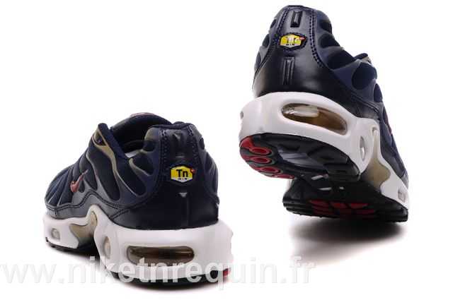 nike tn 2010 bleu (3).JPG